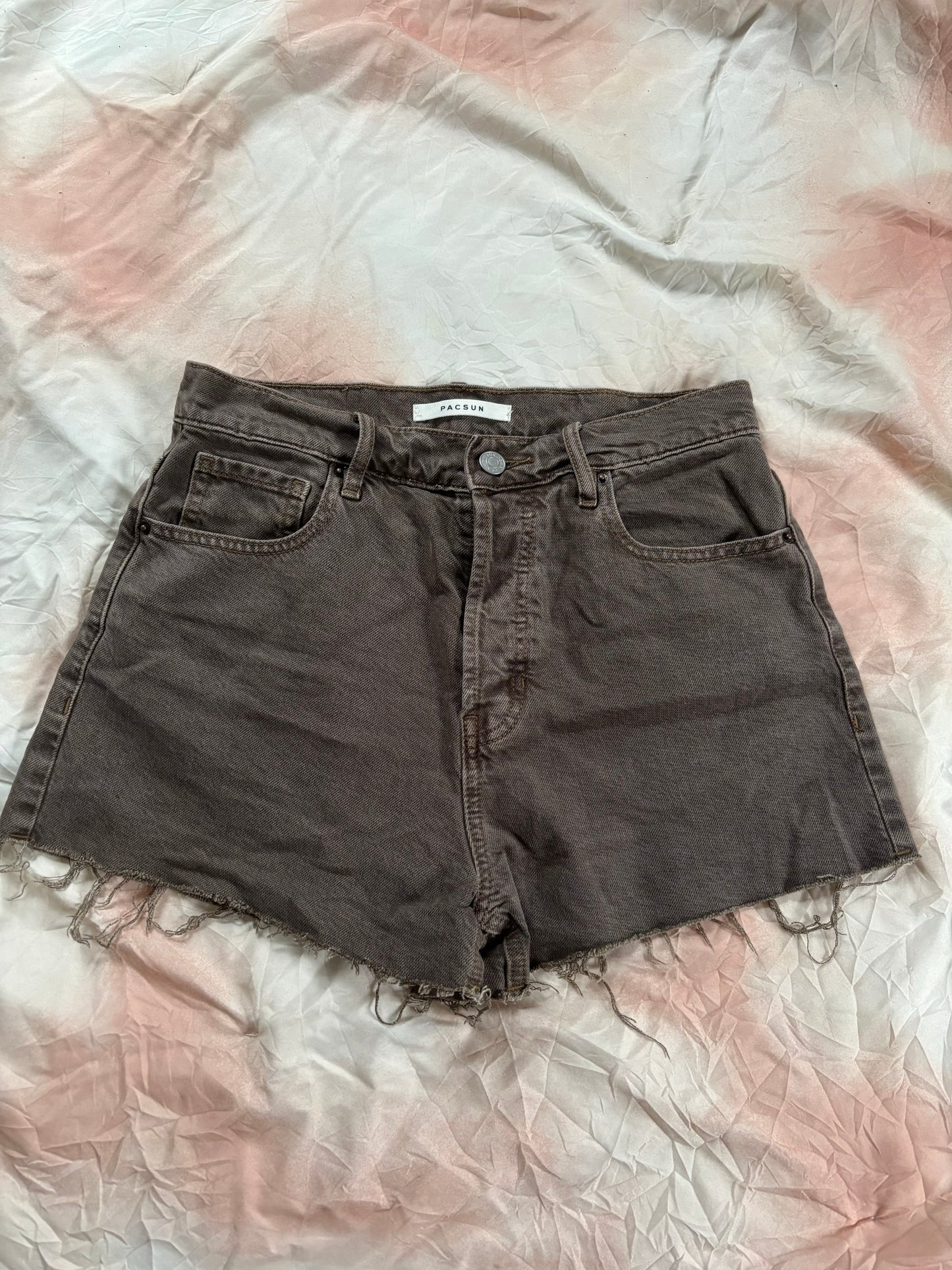 Brown Pacsun Shorts (27)